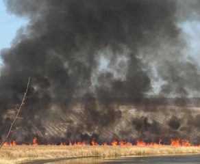 TRAGEDIE CUMPLITĂ LÂNGĂ CIMITIR! Un bătrân a fost găsit carbonizat printre flăcările iadului! Ce s-a întâmplat înainte de coșmarul din Caraș-Severin