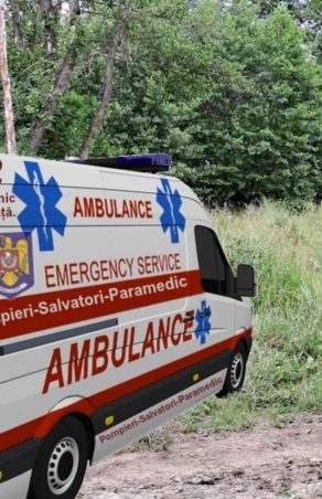 DRAMĂ CUMPLITĂ ÎN CARAȘ-SEVERIN! MAMA A ȘASE COPII, LA UN PAS DE O TRAGEDIE BIZARĂ ÎN PĂDUREA PIERZĂRII!!