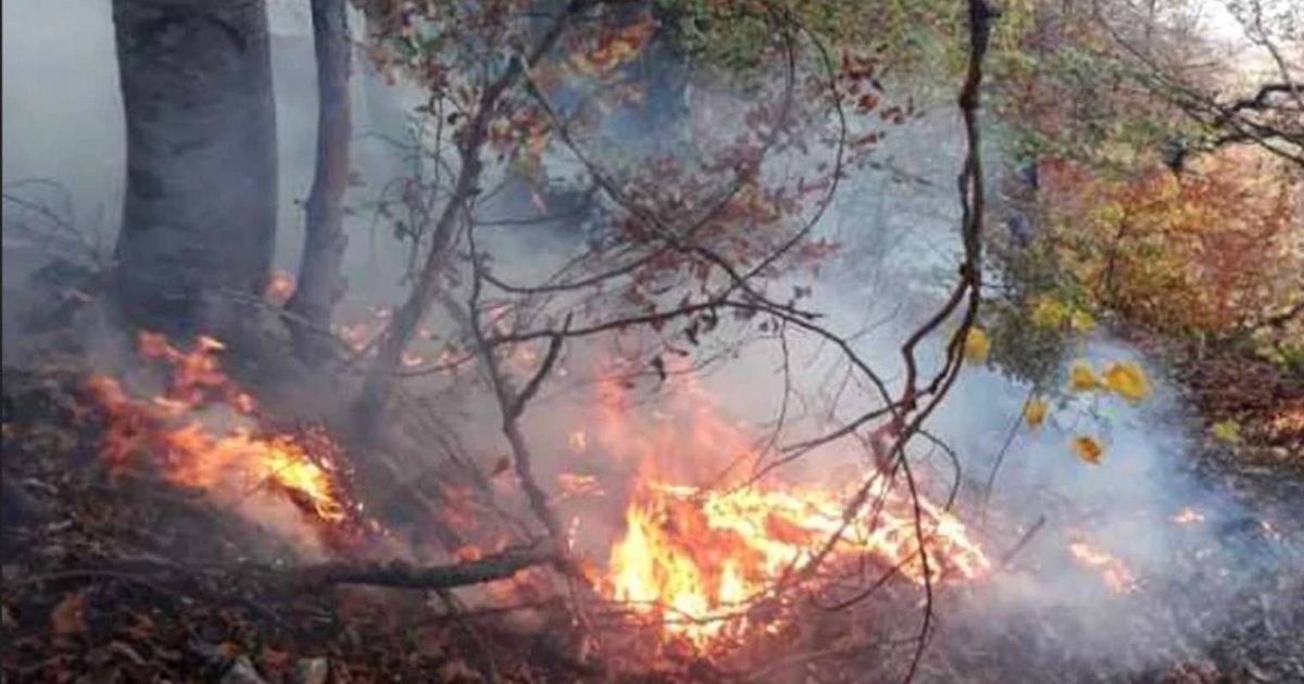 FLĂCĂRI PE MUNȚII BĂILOR HERCULANE! Iadul a coborât peste stațiunea împăraților