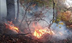 FLĂCĂRI PE MUNȚII BĂILOR HERCULANE! Iadul a coborât peste stațiunea împăraților