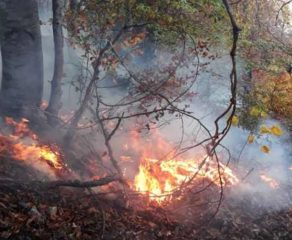 FLĂCĂRI PE MUNȚII BĂILOR HERCULANE! Iadul a coborât peste stațiunea împăraților